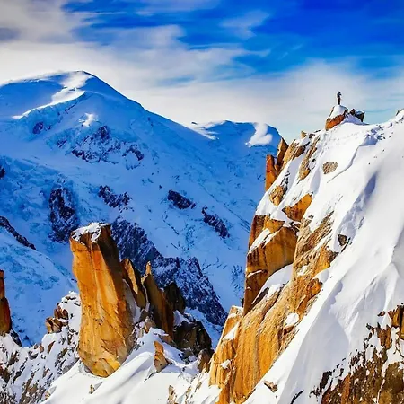 Aiglons - Mountain Haven Apartment Chamonix