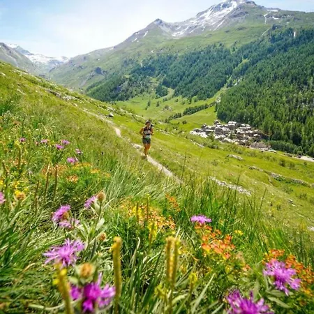 Aiglons - Mountain Haven *