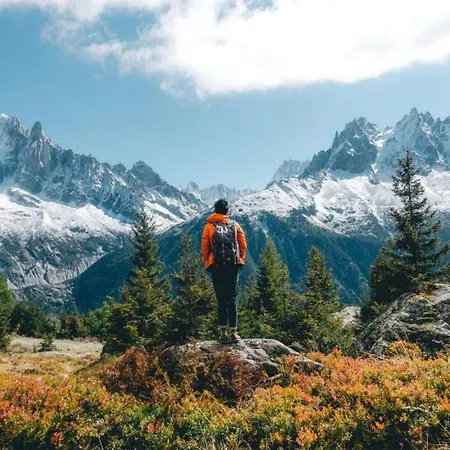 Aiglons - Mountain Haven Chamonix