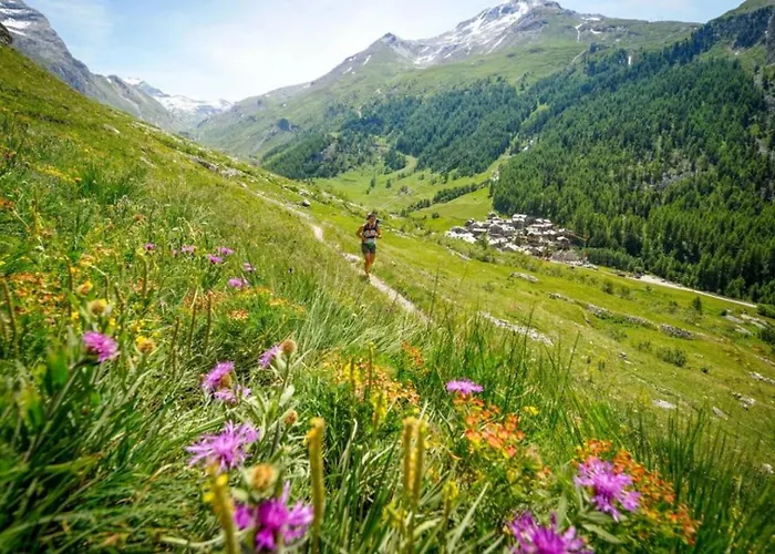 Aiglons - Mountain Haven *