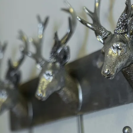 Aiglons - Mountain Haven * Chamonix