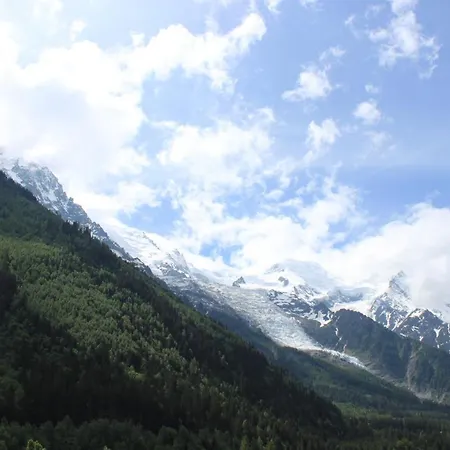 Aiglons - Mountain Haven * 샤모니