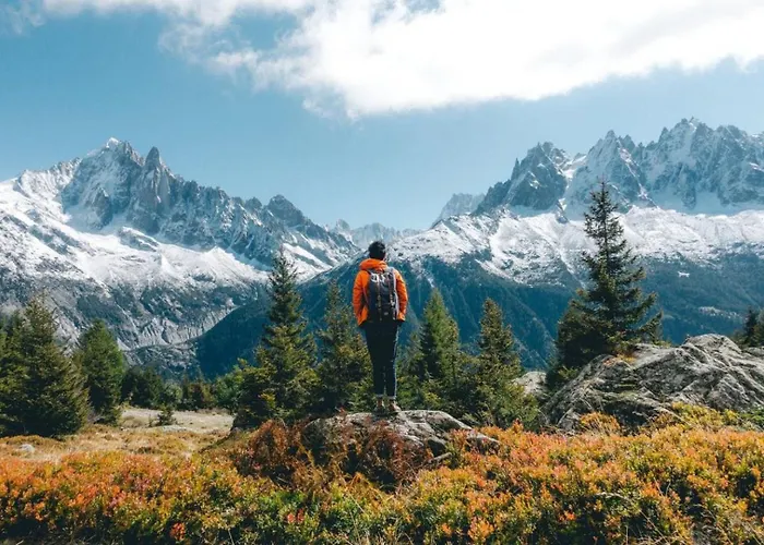 Aiglons - Mountain Haven Chamonix